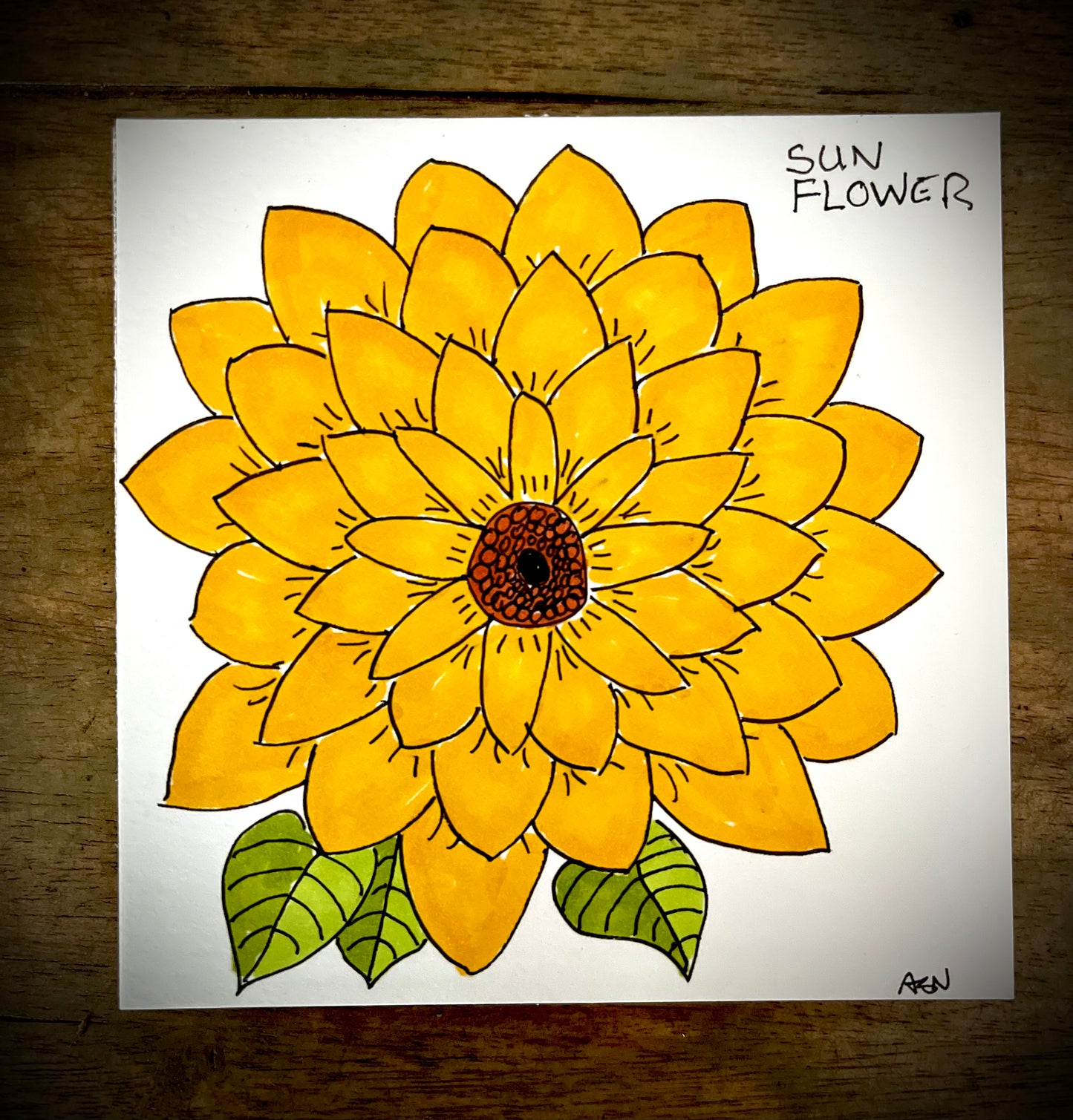 Sunflower